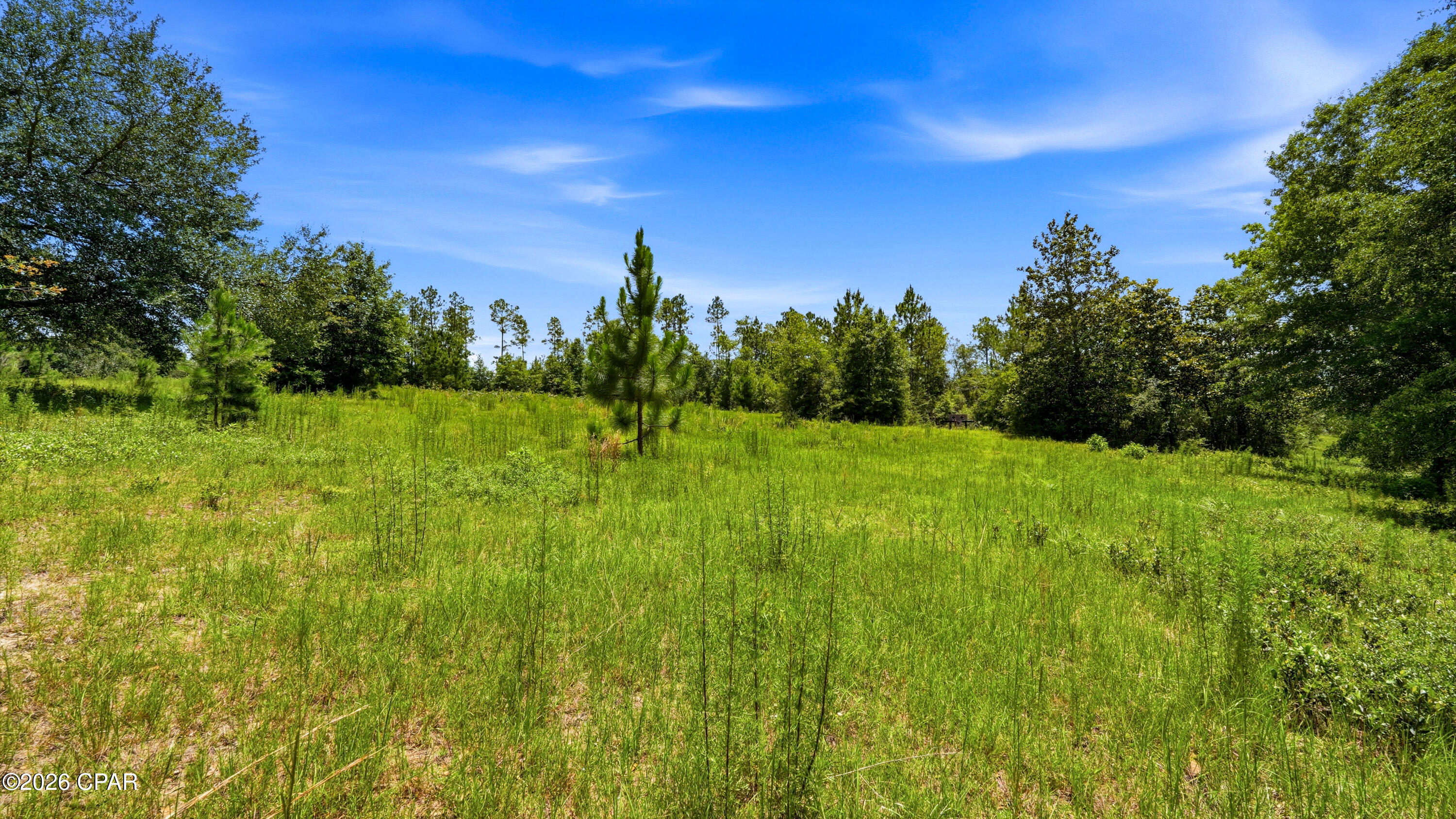 705 Cornwell Road Alford, FL 32420 - Photo 86 of 89
