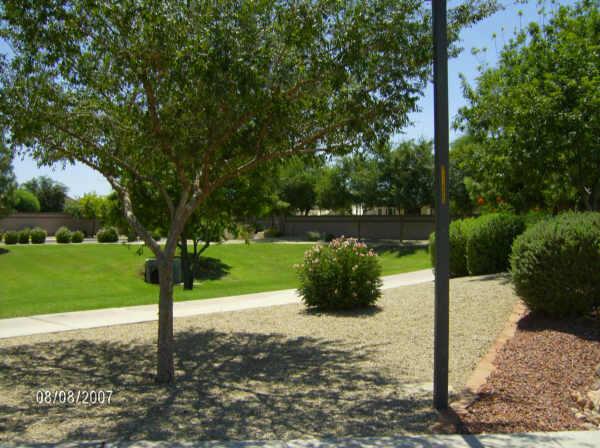 275 West Del Rio Street Gilbert, AZ 85233 - Photo 4 of 6 Additional Photo