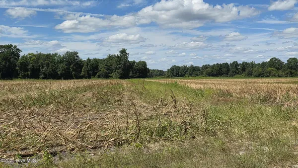 $79,000 | Tbd James Porter Road, Kelly, NC 28448