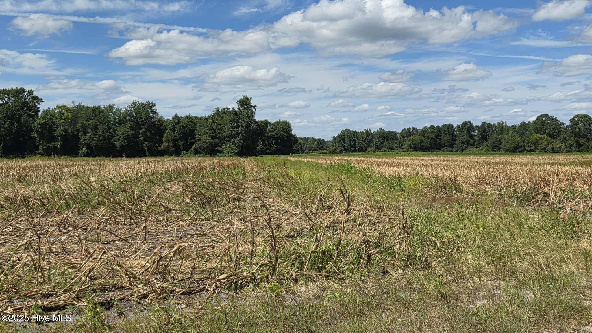 Tbd James Porter Road Kelly, NC 28448 - Photo 2 of 11 4D857D15-FFFE-4F61-9DC5-3E9BC09FEB3D