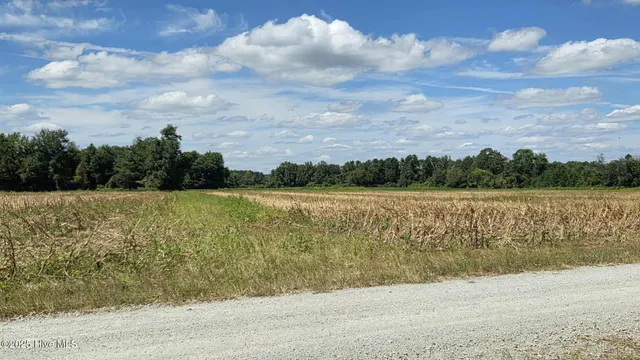 $84,000 | Tbd James Porter Road, Kelly, NC 28448