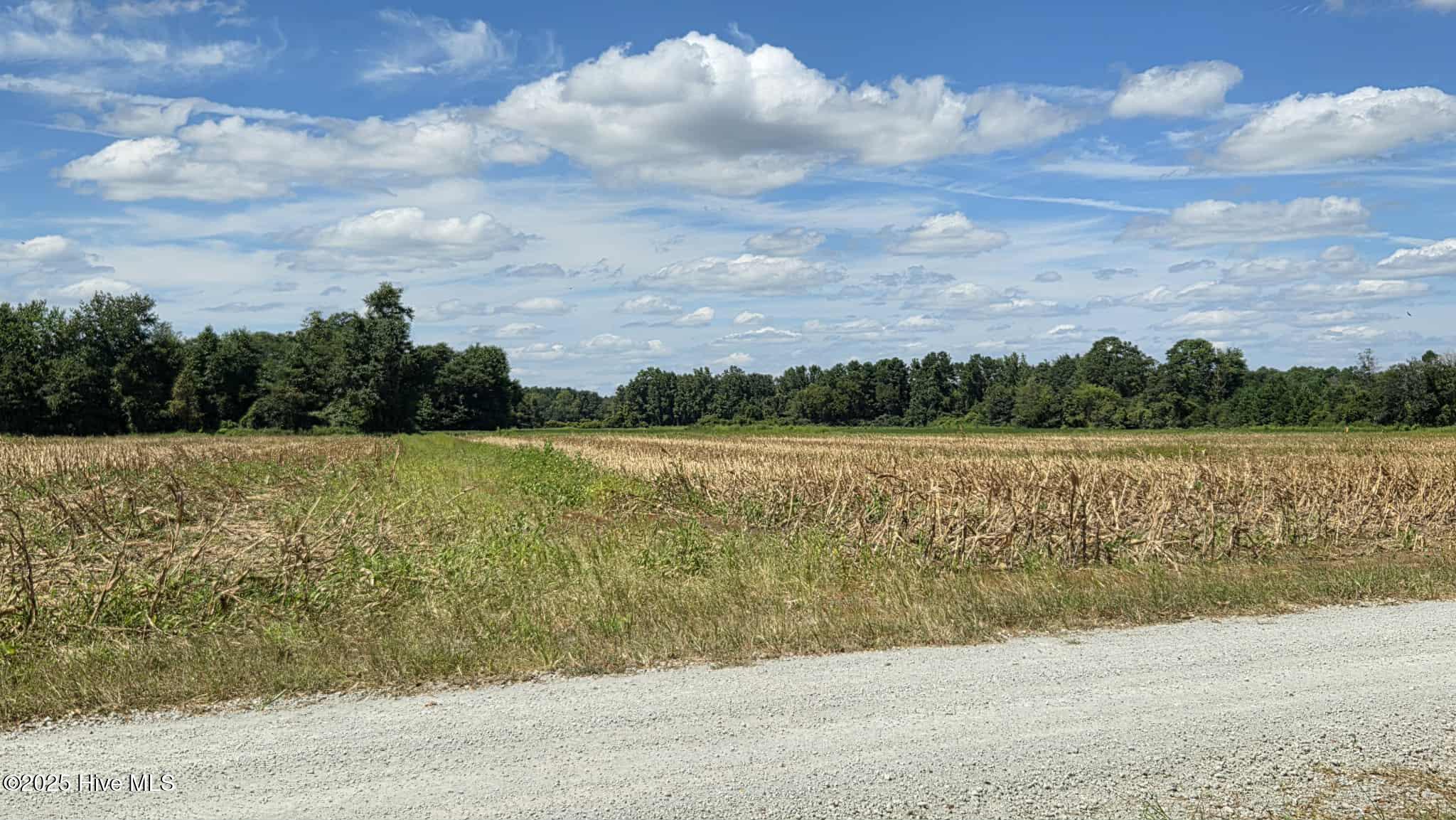 Tbd James Porter Road Kelly, NC 28448 - Photo 6 of 11 5070AF90-3FF9-4723-A2A9-3400A7F6CD1C