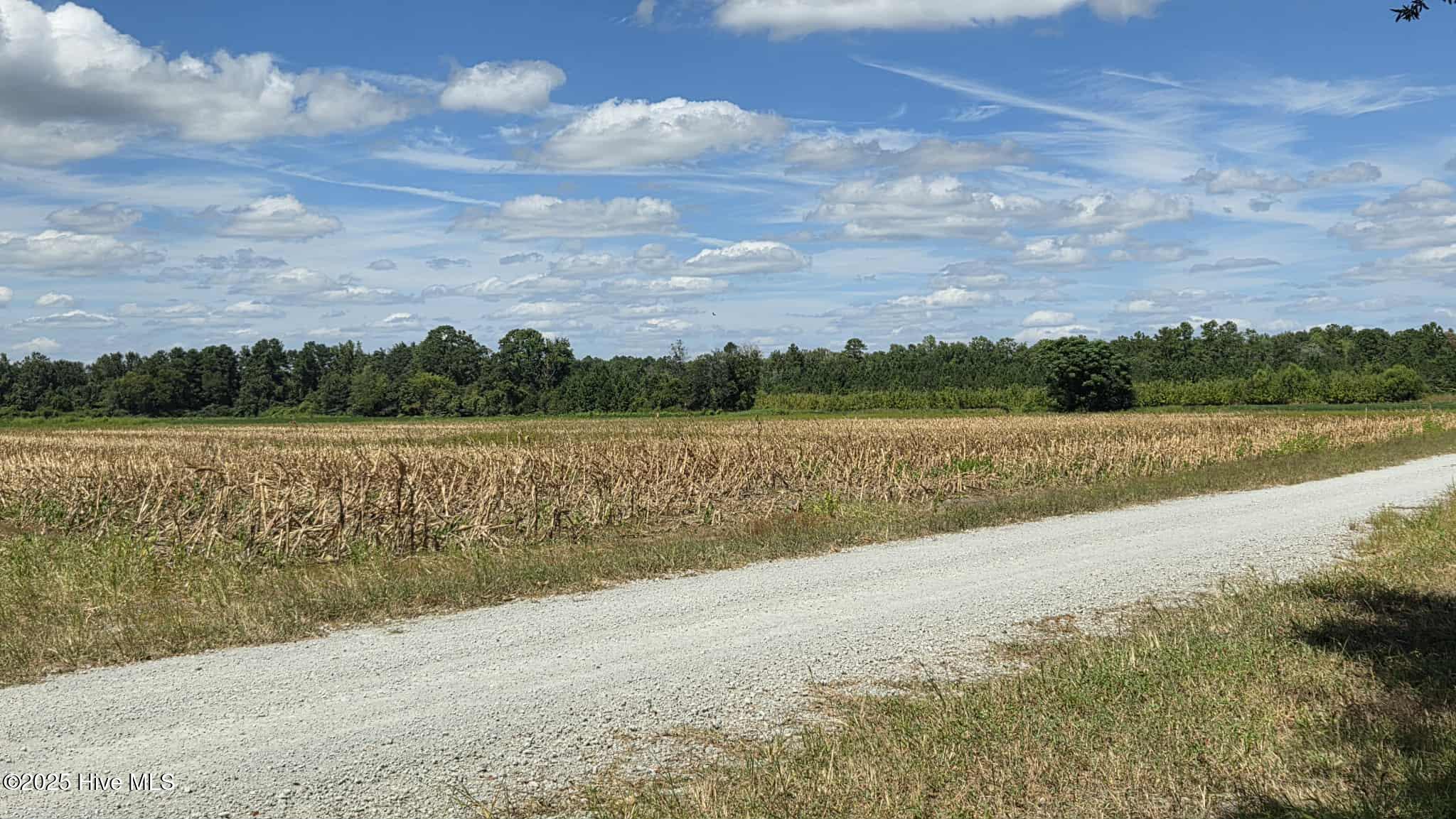 Tbd James Porter Road Kelly, NC 28448 - Photo 7 of 11 14240169-37A7-4F52-9869-1FED9991C4AF