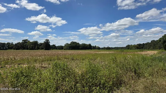 $84,000 | Tbd James Porter Road, Kelly, NC 28448