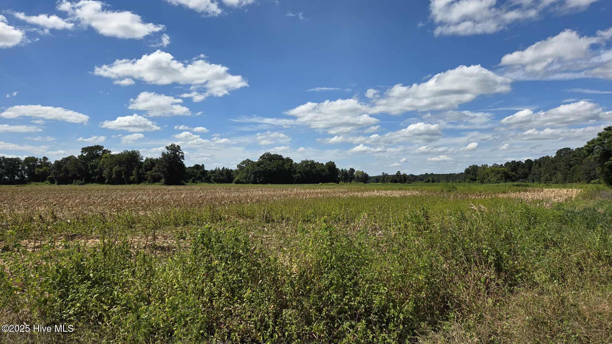 Tbd James Porter Road Kelly, NC 28448 - Photo 8 of 11 AD2C30EB-F2D6-4774-8FC0-A663B00B3B19