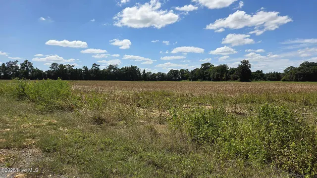 $84,000 | Tbd James Porter Road, Kelly, NC 28448