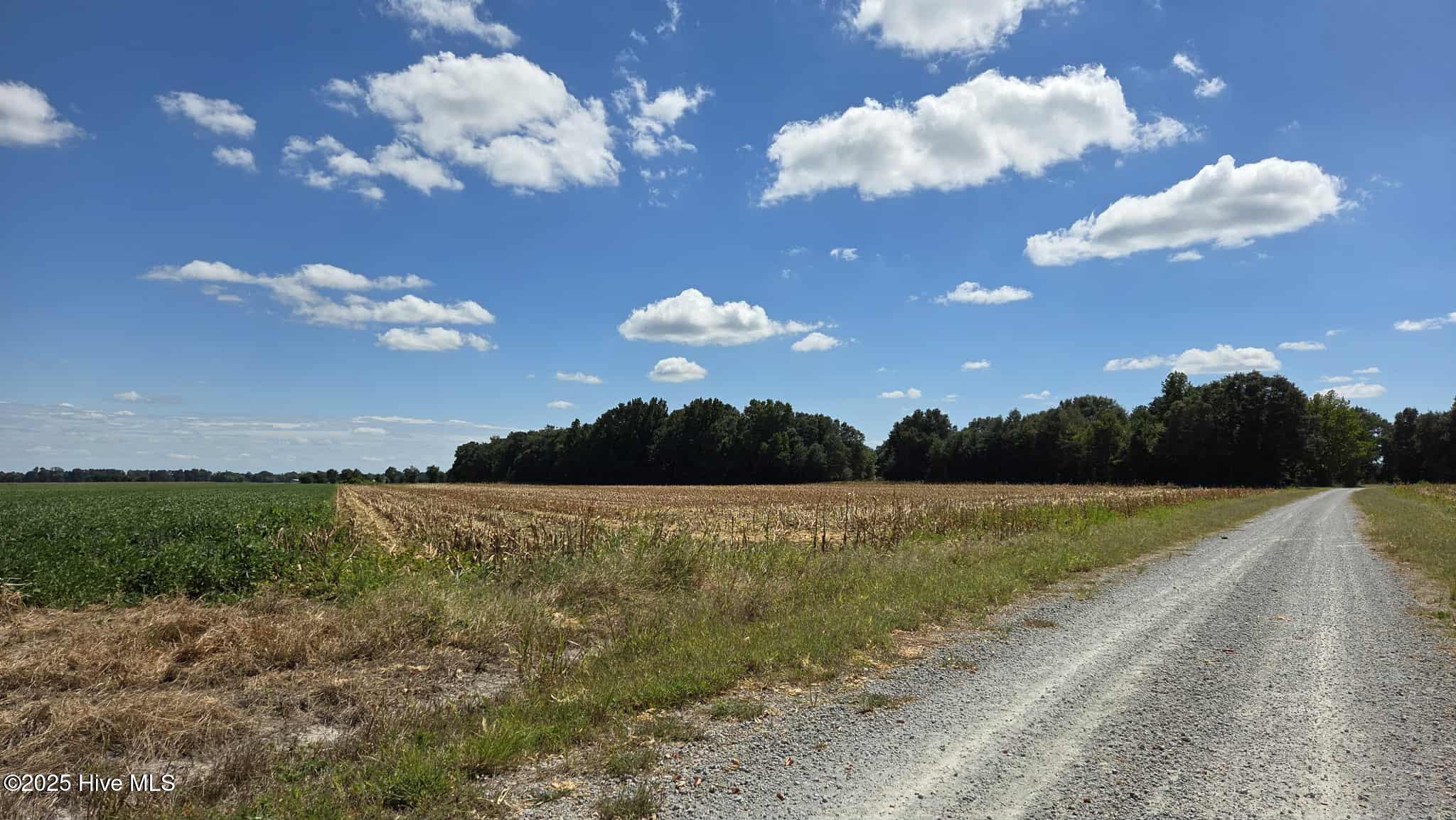 Tbd James Porter Road Kelly, NC 28448 - Photo 10 of 11 D7D7A783-9F4F-429C-8057-2CDE688C3C7E