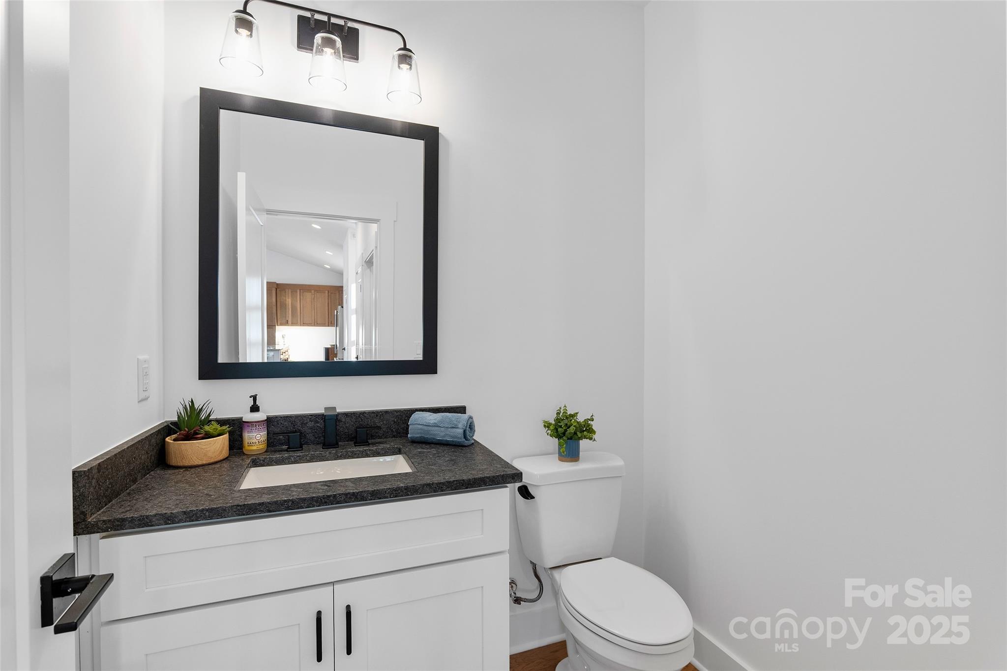 872 Newfound Road Canton, NC 28716 - Photo 19 of 44 a bathroom with a granite countertop toilet sink and mirror