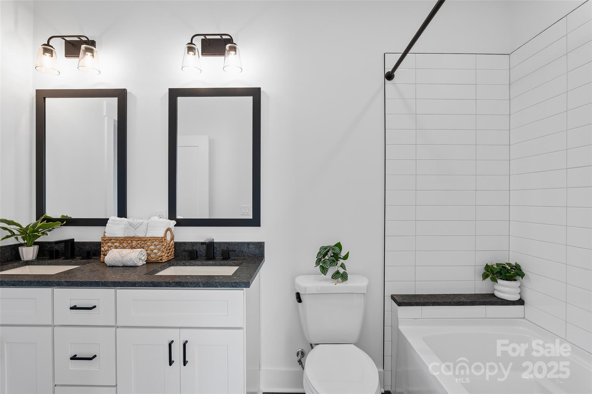 872 Newfound Road Canton, NC 28716 - Photo 33 of 44 a bathroom with double vanity sinks a toilet and a mirror