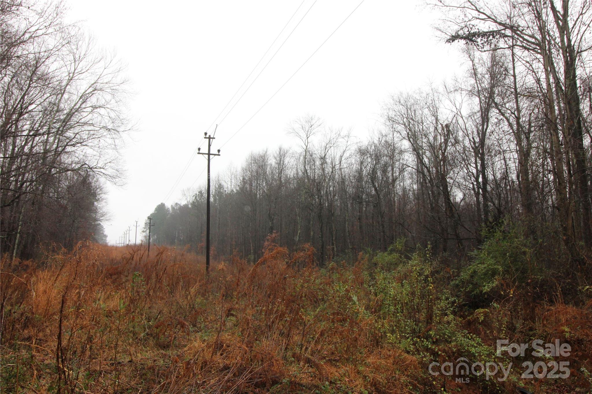 4.58-ac Eaker Road, Unit LOT 4 Bessemer City, NC 28016 - Photo 4 of 6