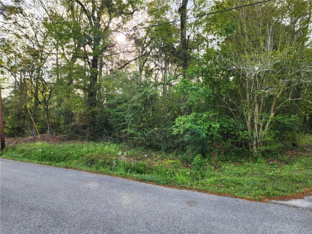 0 Hayes Road Slidell, LA 70461 - Photo 4 of 8