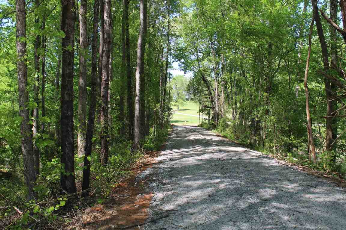 3518 Sawmill Road Gray Court, SC 29645 - Photo 5 of 32 Gallery Image 5