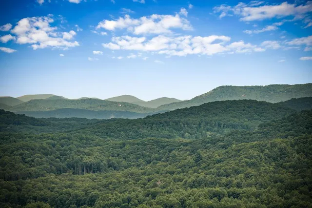 a view of a room with wooden floor and glass door