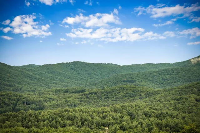 $1,999,900 | 463 Big Sky Trail, Epworth, GA 30541