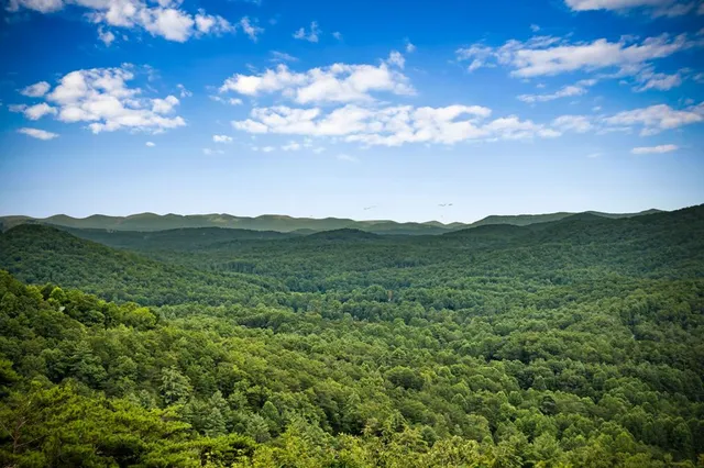 $1,999,900 | 463 Big Sky Trail, Epworth, GA 30541