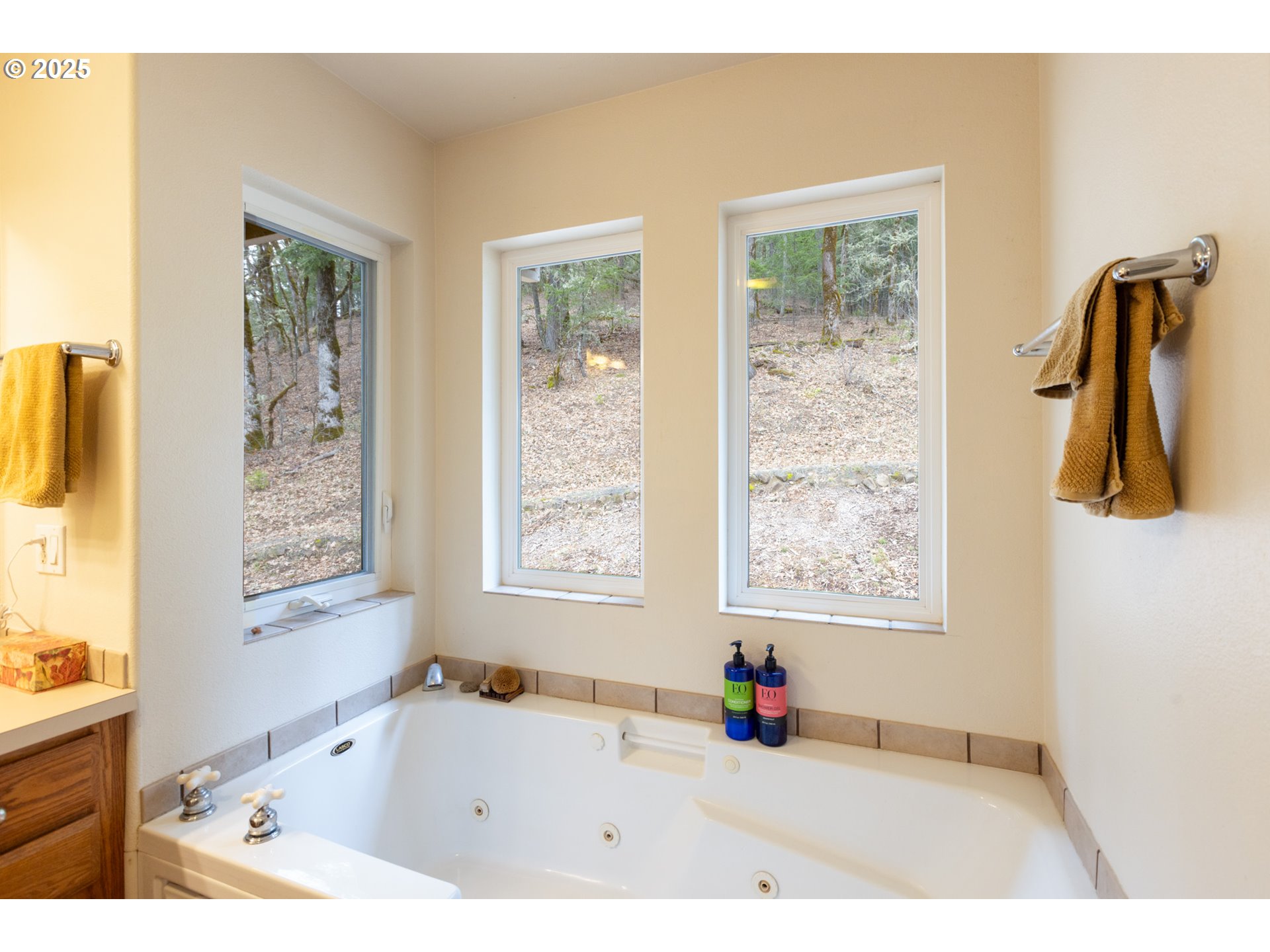 331 Upper Lakeview Rd Road White Salmon, WA 98672 - Photo 28 of 37 Jacuzzi