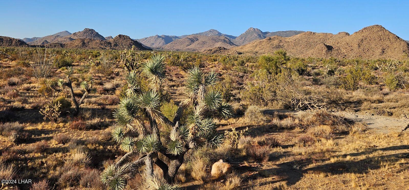 2624 South Gold Mine Road Yucca, AZ 86438 - Photo 33 of 35 Gallery Image 33