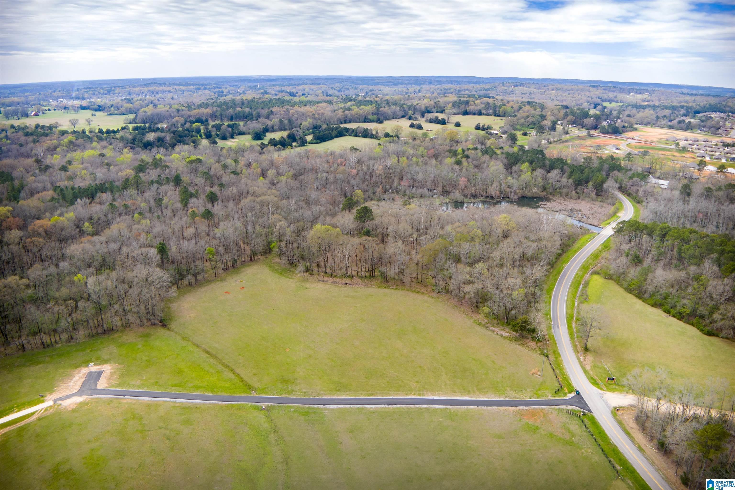 850 County Road 24, Unit 1B Montevallo, AL 35115 - Photo 13 of 24