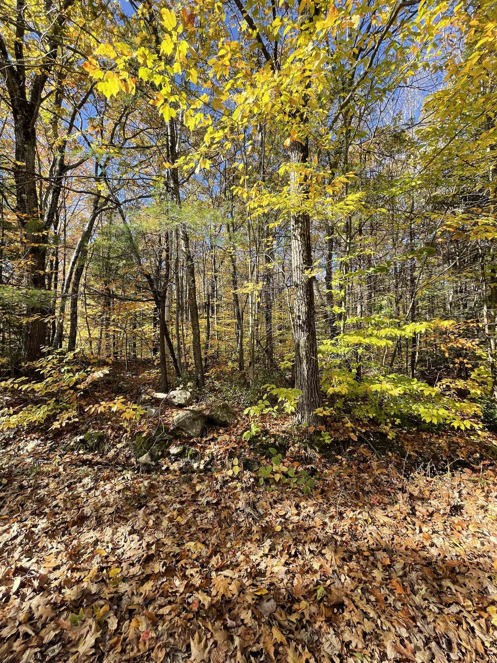 5-a 24 Hill Road, Unit 5A 24 Temple, NH 03084 - Photo 16 of 26 Gallery Image 16