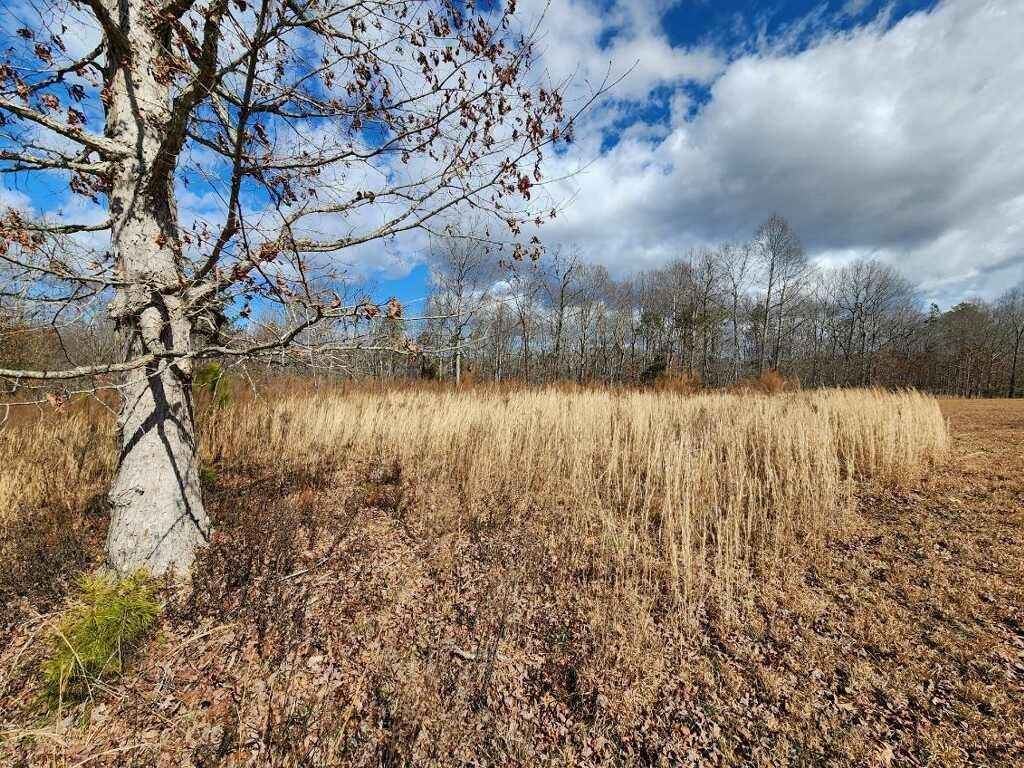 Beautiful Lot With Flat area to Build Your Dream Home!