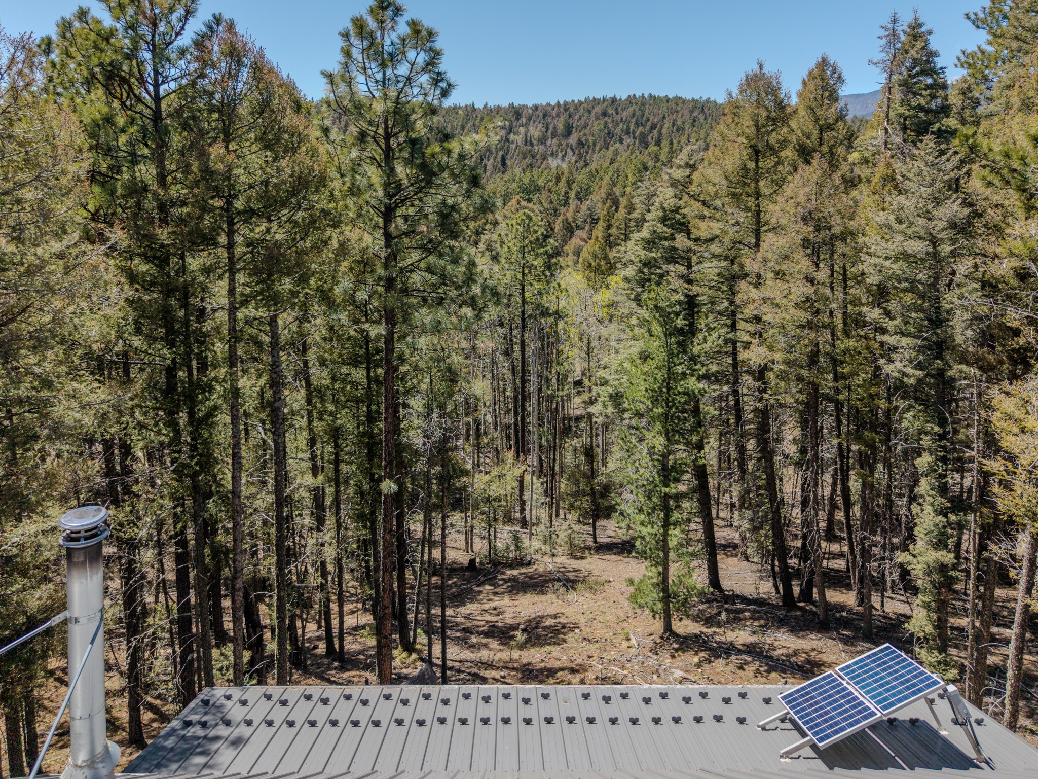 245 Sawyer Mesa Road Tererro, NM 87573 - Photo 6 of 31