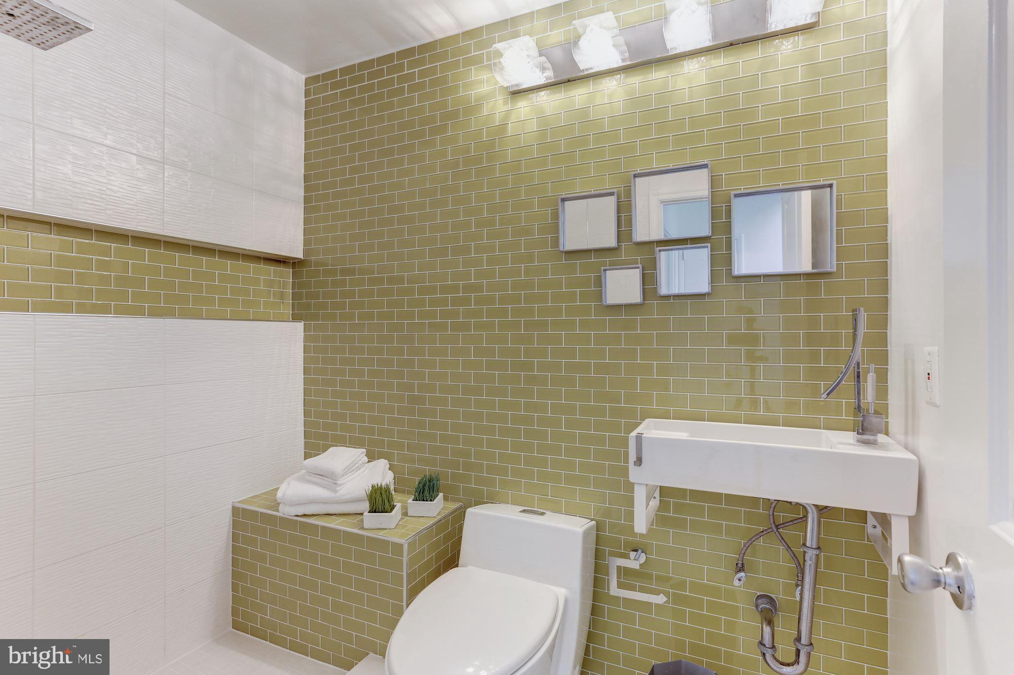 2415 Freetown Drive Reston, VA 20191 - Photo 24 of 38 Spa Like Hall Bath