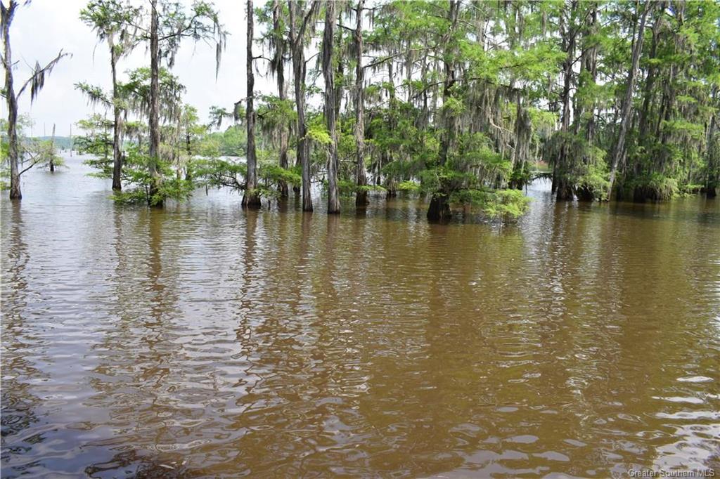 709 Pardee Road Campti, LA 71411 - Photo 47 of 54 Gallery Image 47