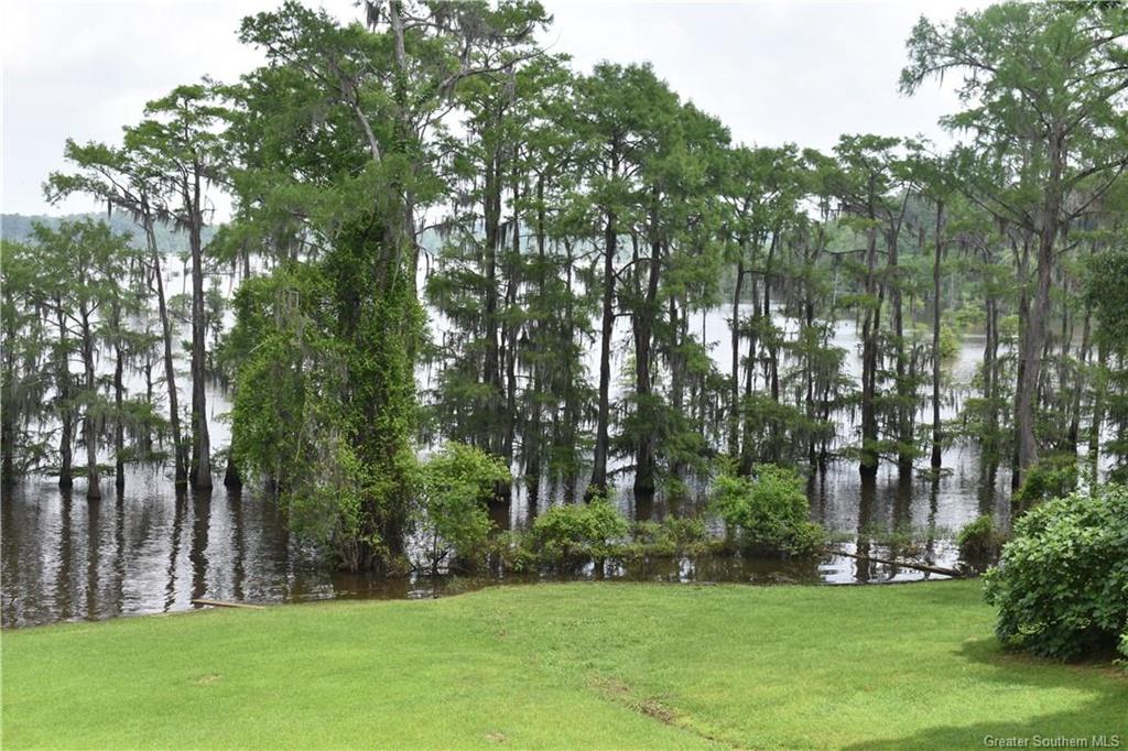709 Pardee Road Campti, LA 71411 - Photo 48 of 54 Gallery Image 48
