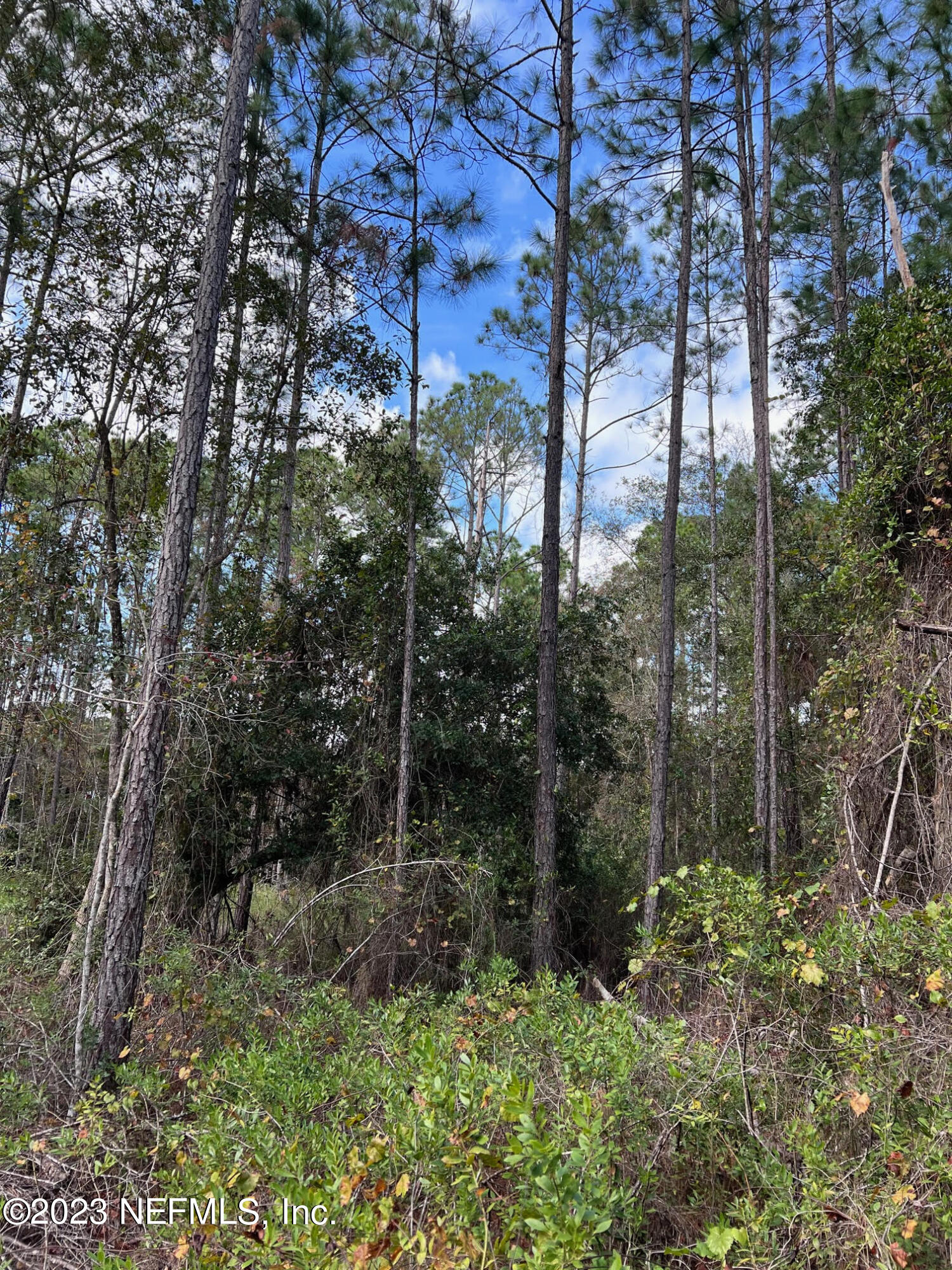 190 Georgetown Denver Road Georgetown, FL 32139 - Photo 12 of 23 E