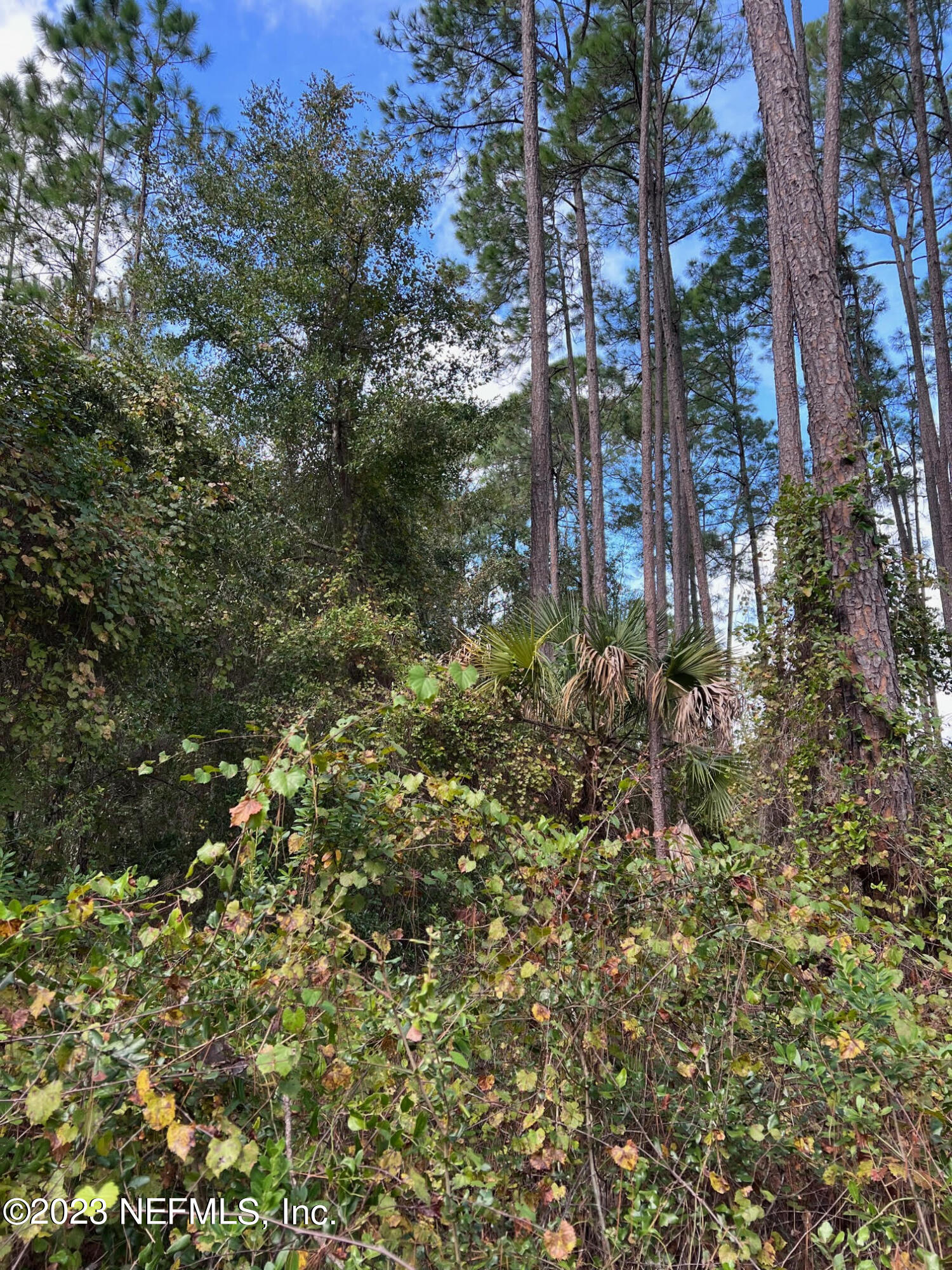 190 Georgetown Denver Road Georgetown, FL 32139 - Photo 13 of 23 d