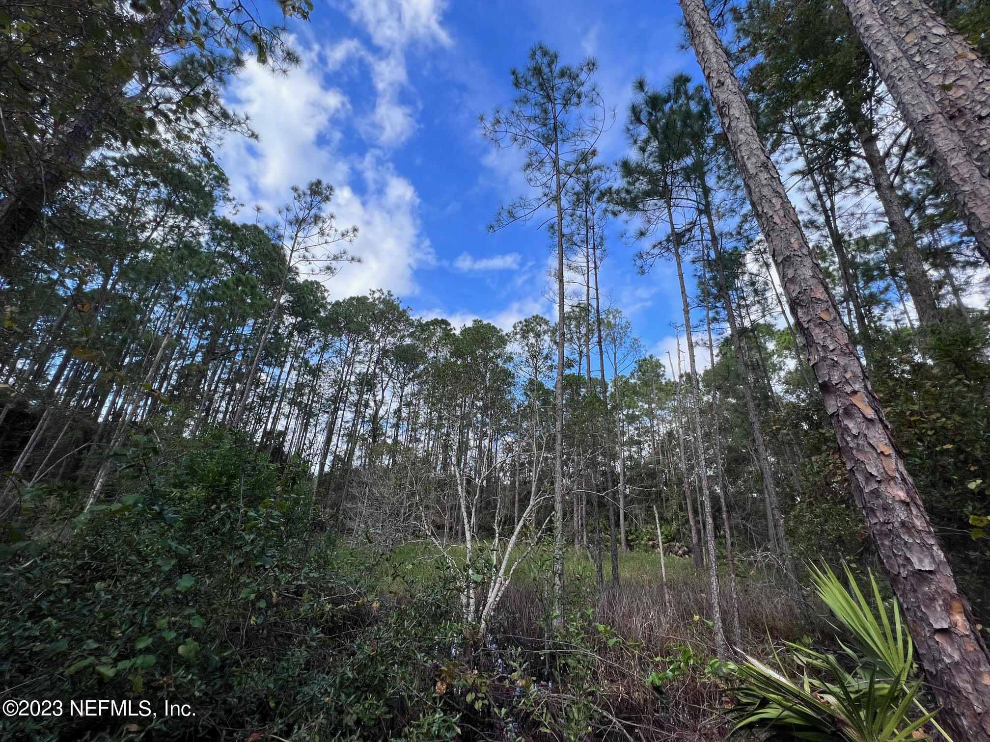 190 Georgetown Denver Road Georgetown, FL 32139 - Photo 2 of 23 a