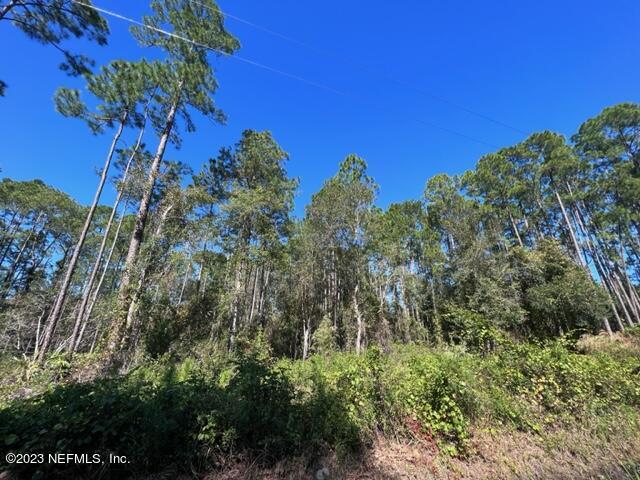 190 Georgetown Denver Road Georgetown, FL 32139 - Photo 3 of 23 4