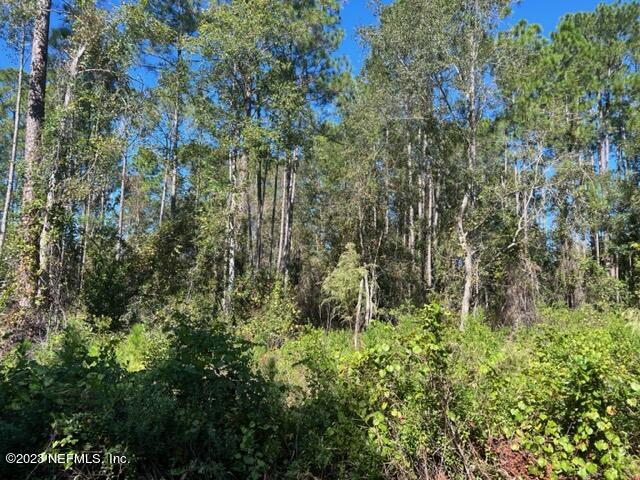 190 Georgetown Denver Road Georgetown, FL 32139 - Photo 4 of 23 3