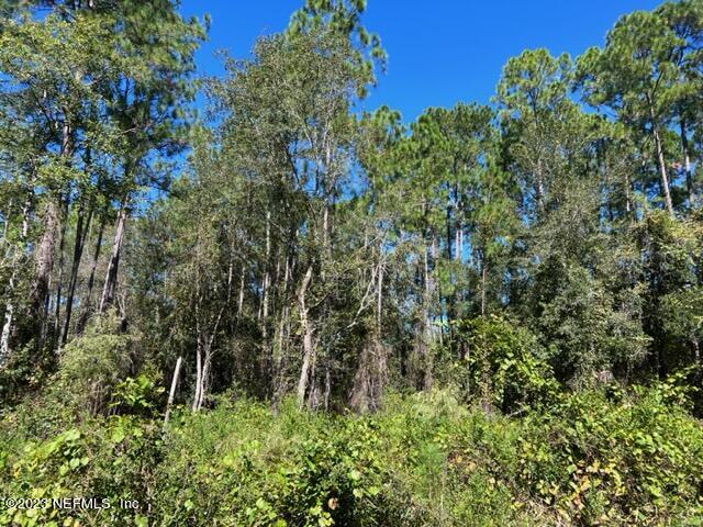 190 Georgetown Denver Road Georgetown, FL 32139 - Photo 5 of 23 5
