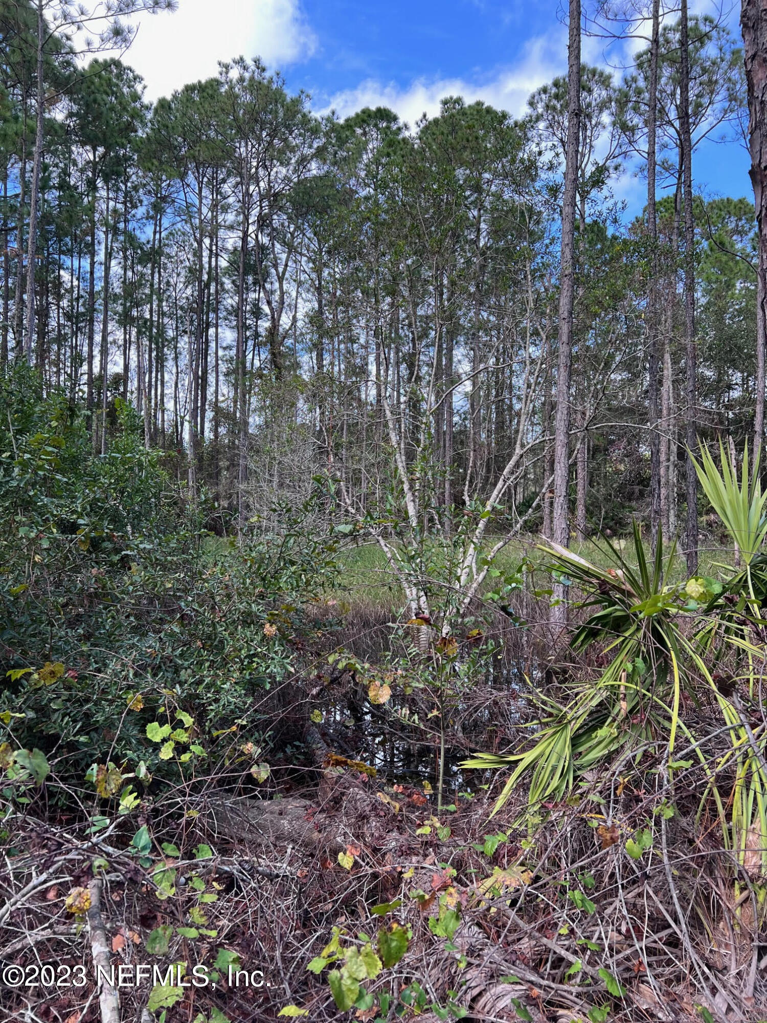 190 Georgetown Denver Road Georgetown, FL 32139 - Photo 6 of 23 b