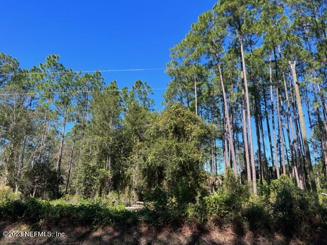 190 Georgetown Denver Road Georgetown, FL 32139 - Photo 8 of 23 8