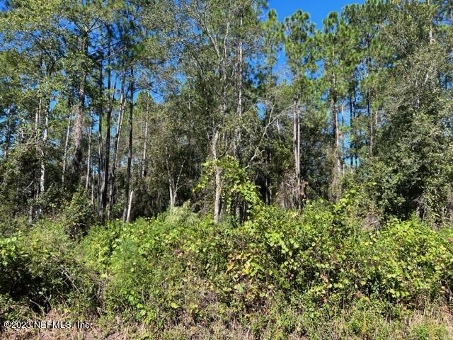 190 Georgetown Denver Road Georgetown, FL 32139 - Photo 9 of 23 9