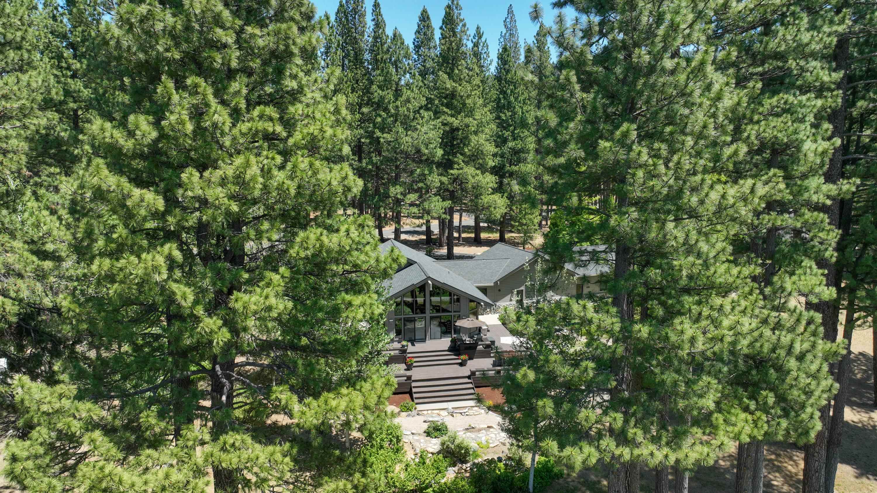 134 Quail View Circle Clio, CA 96106 - Photo 5 of 49 a view of a garden with a bench