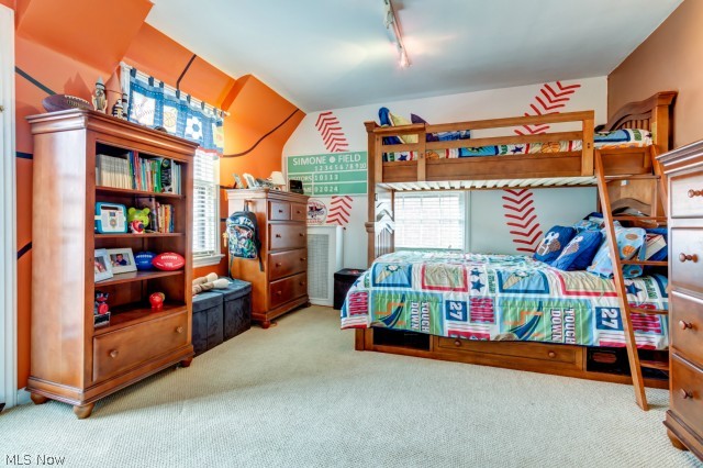 2403 Channing Road Cleveland, OH 44118 - Photo 14 of 25