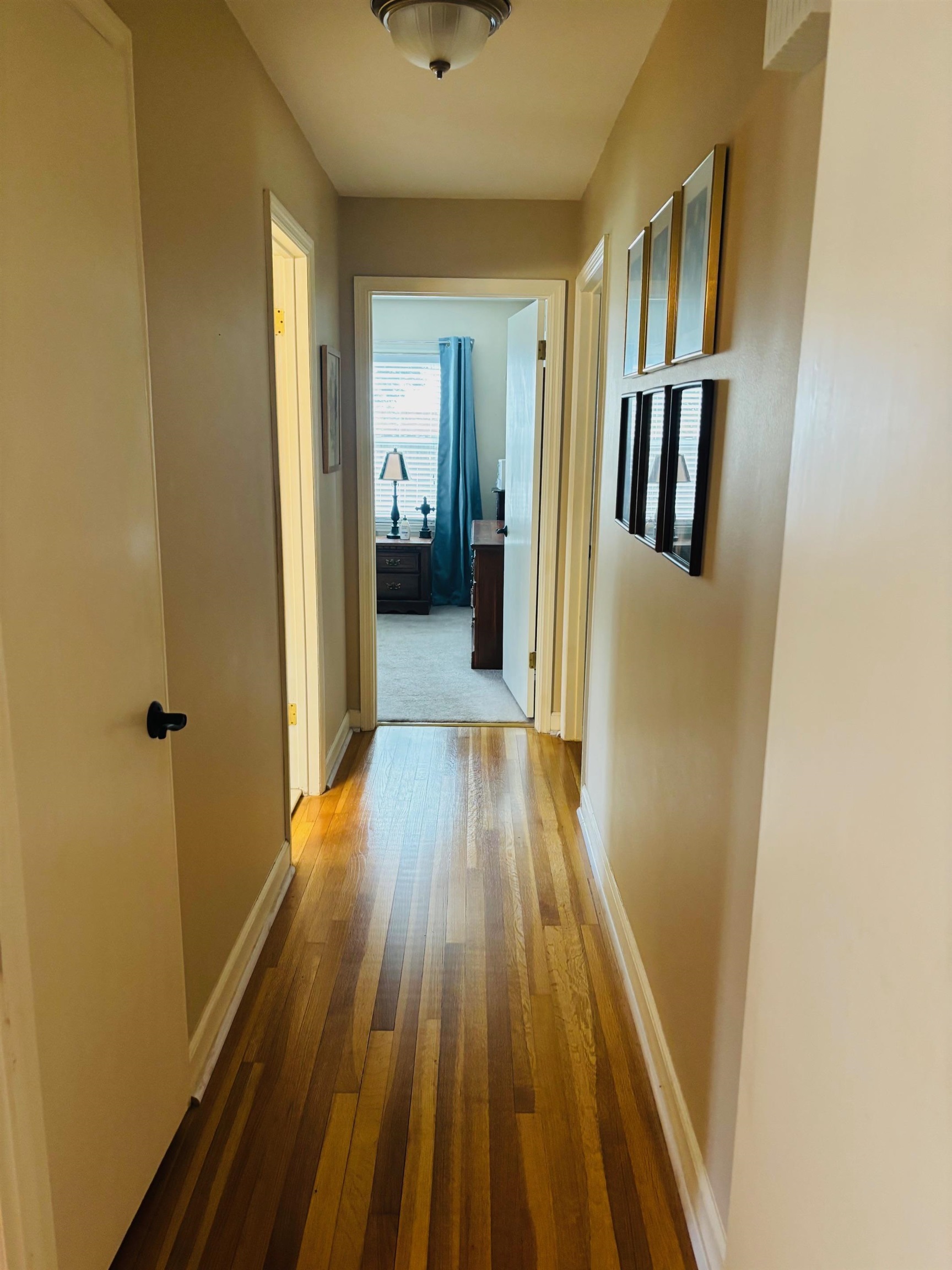 2076 Riverdale Road Germantown, TN 38138 - Photo 9 of 21 Hall with light wood-type flooring and baseboards