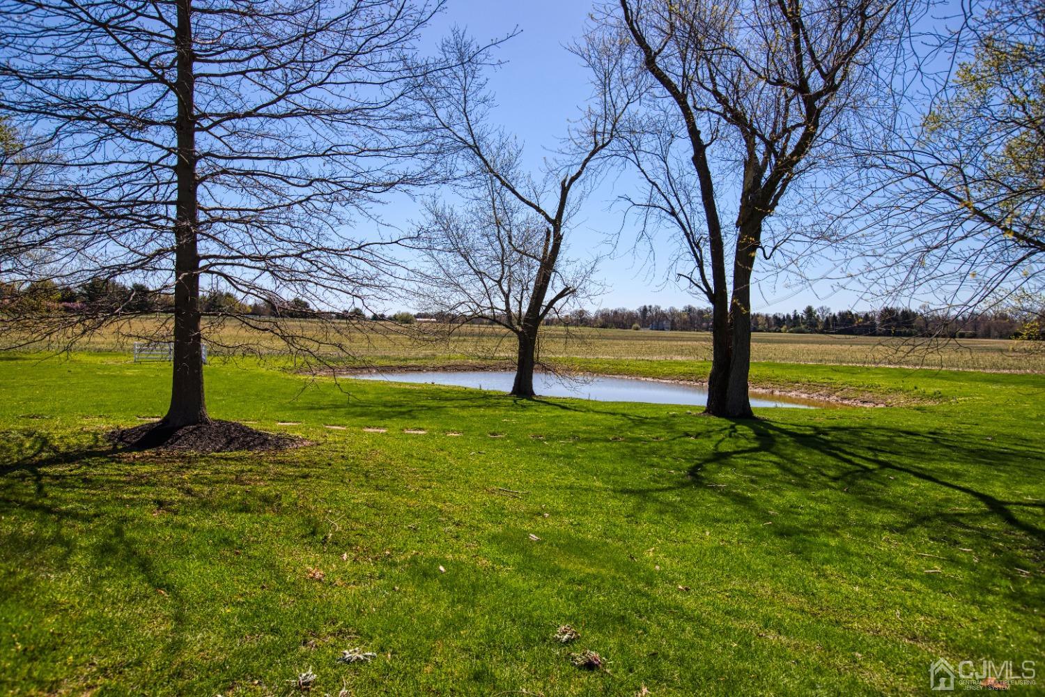 17 Grovers Mill Road Plainsboro, NJ 08536 - Photo 10 of 69