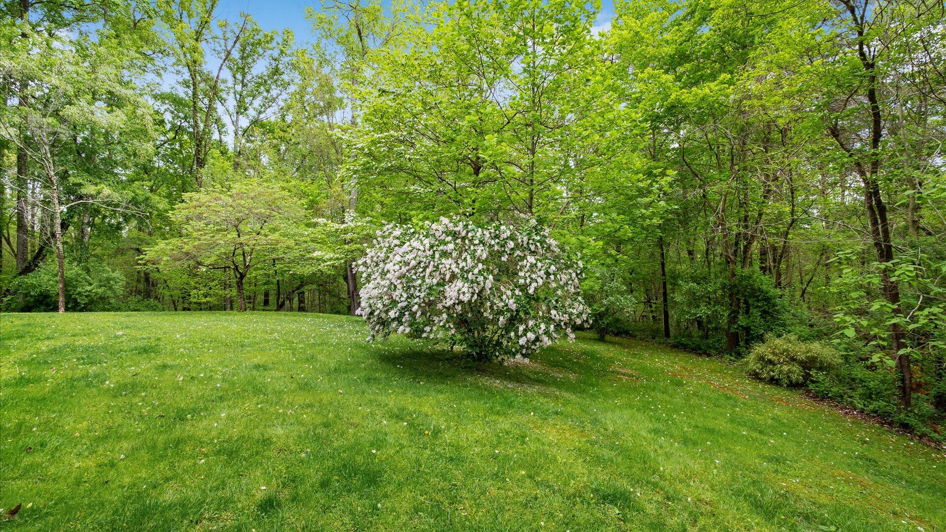 6202 Goss Road Sugar Grove, OH 43155 - Photo 75 of 97 75