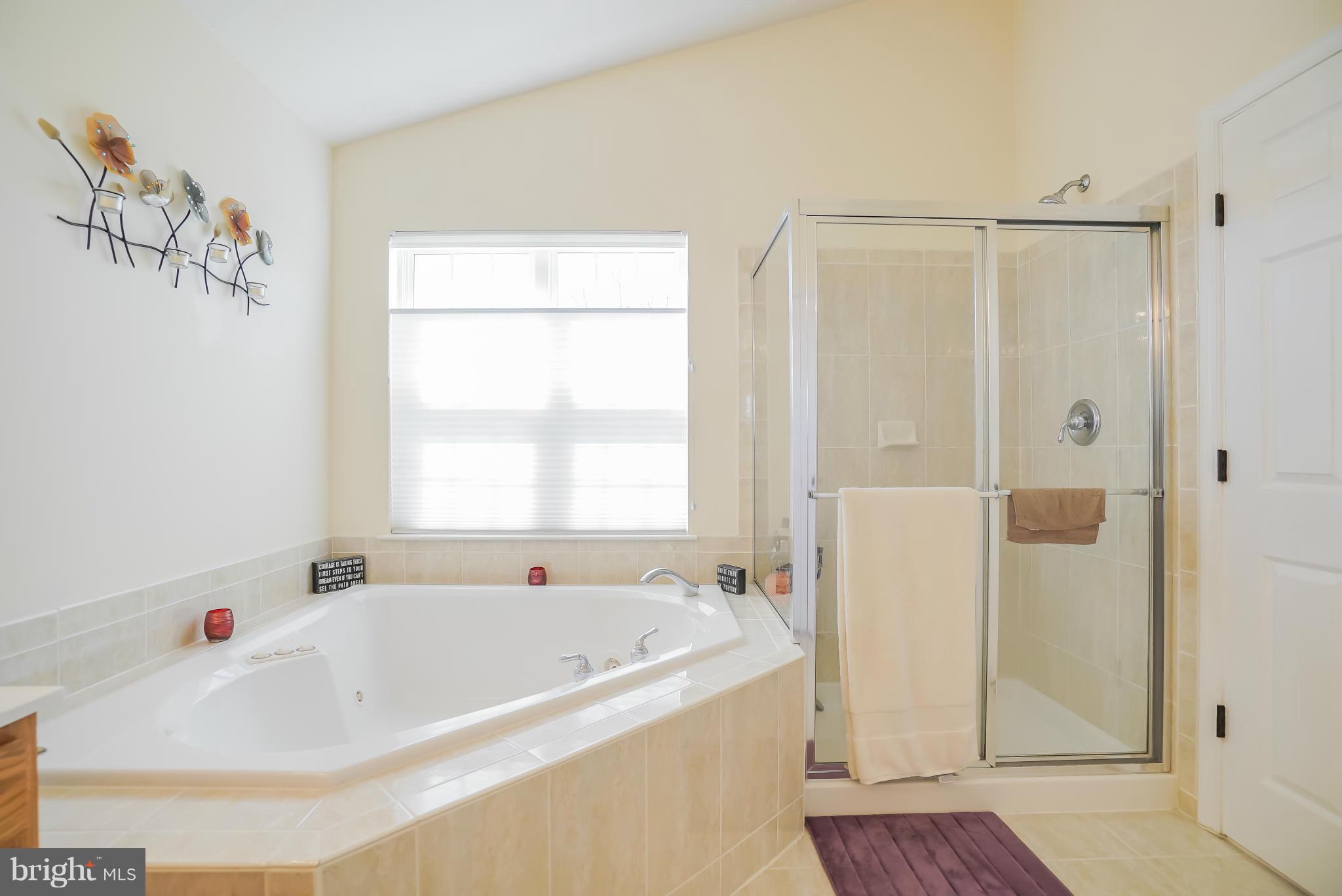 18712 Broken Oak Road Boyds, MD 20841 - Photo 20 of 29 Bath (Master)