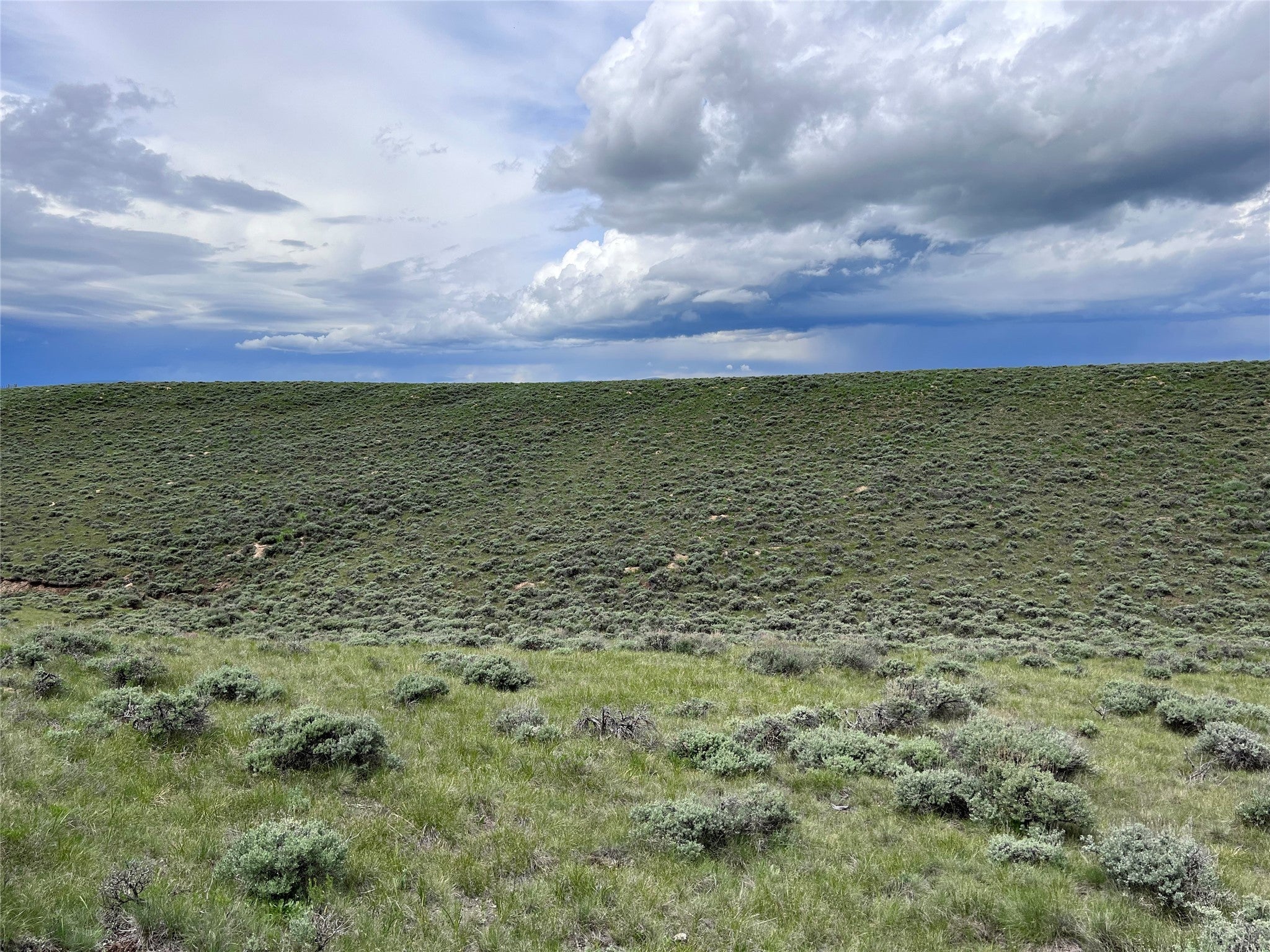 11 Steel Creek Road Wisdom, MT 59761 - Photo 1 of 11 Gallery Image 1
