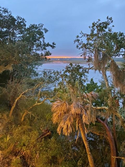 117 Jungle Road Edisto Island, SC 29438 - Photo 2 of 26 2