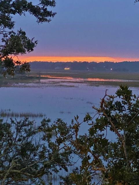 117 Jungle Road Edisto Island, SC 29438 - Photo 3 of 26 3