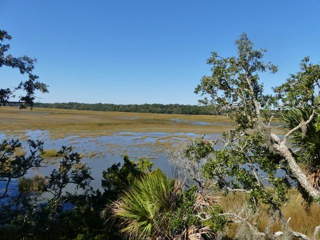 117 Jungle Road Edisto Island, SC 29438 - Photo 26 of 26 26
