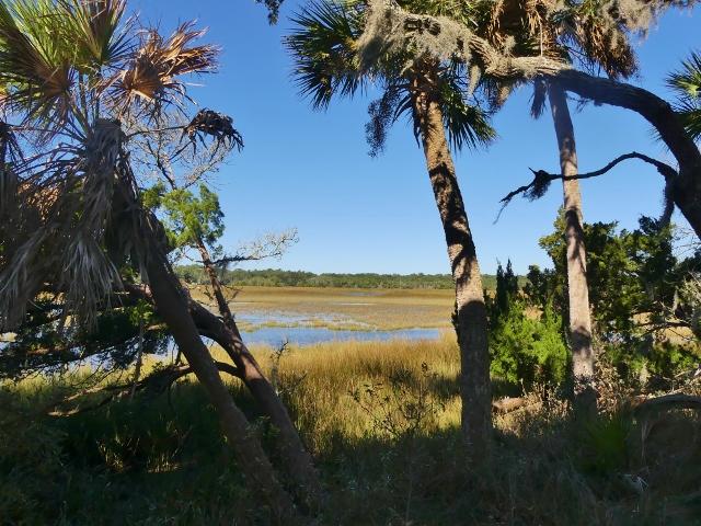 117 Jungle Road Edisto Island, SC 29438 - Photo 6 of 26 6