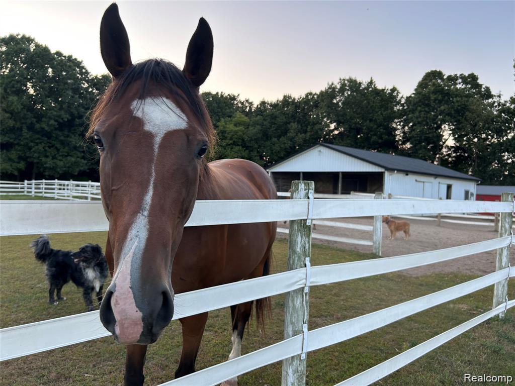 9074 White Road Linden, MI 48451 - Photo 2 of 49 Enjoy the Country Life Here! 5.74 Acres!