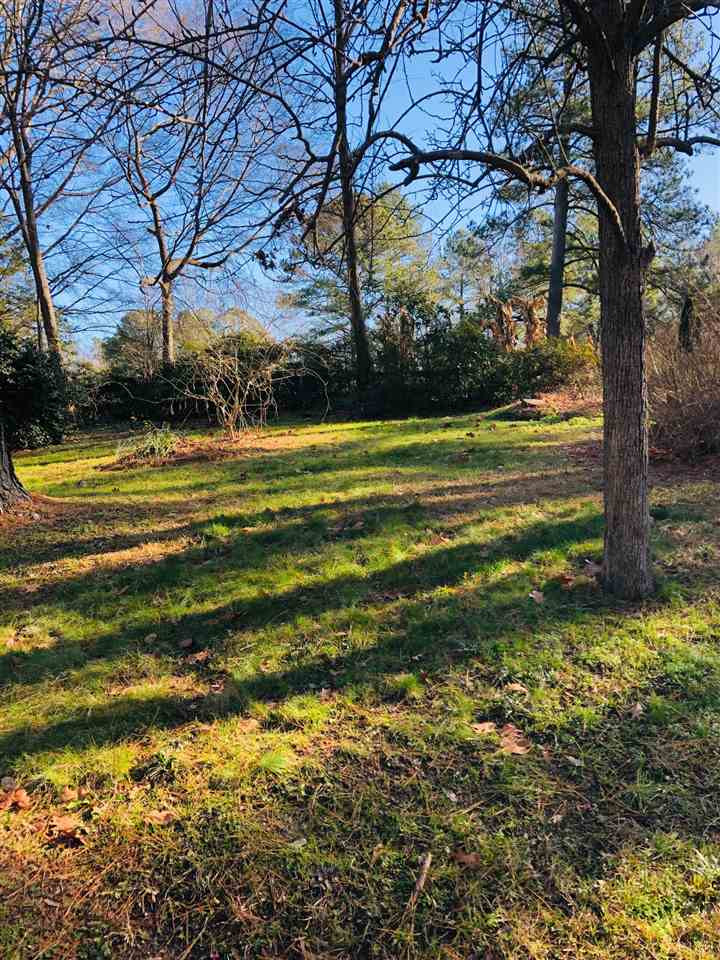 3607 Woodside Road Garner, NC 27529 - Photo 12 of 14 Back Yard